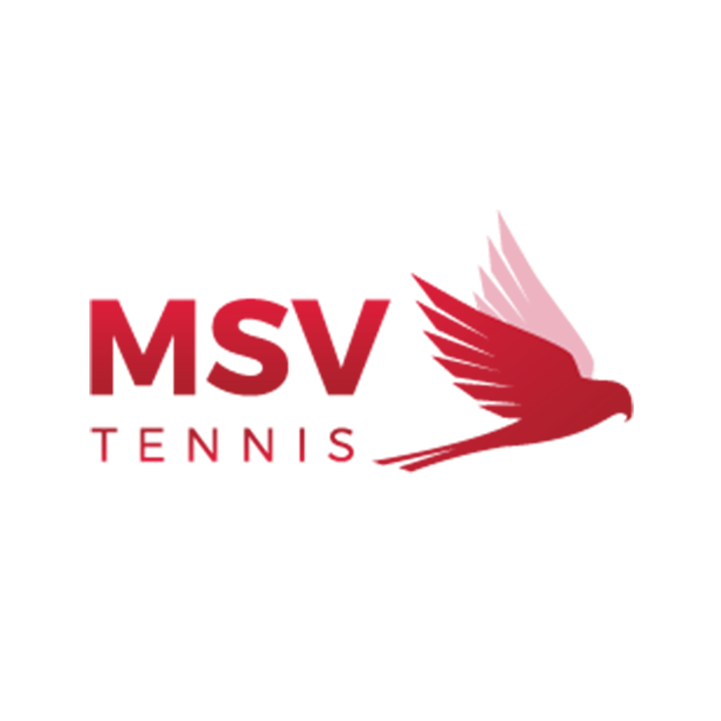 MSV